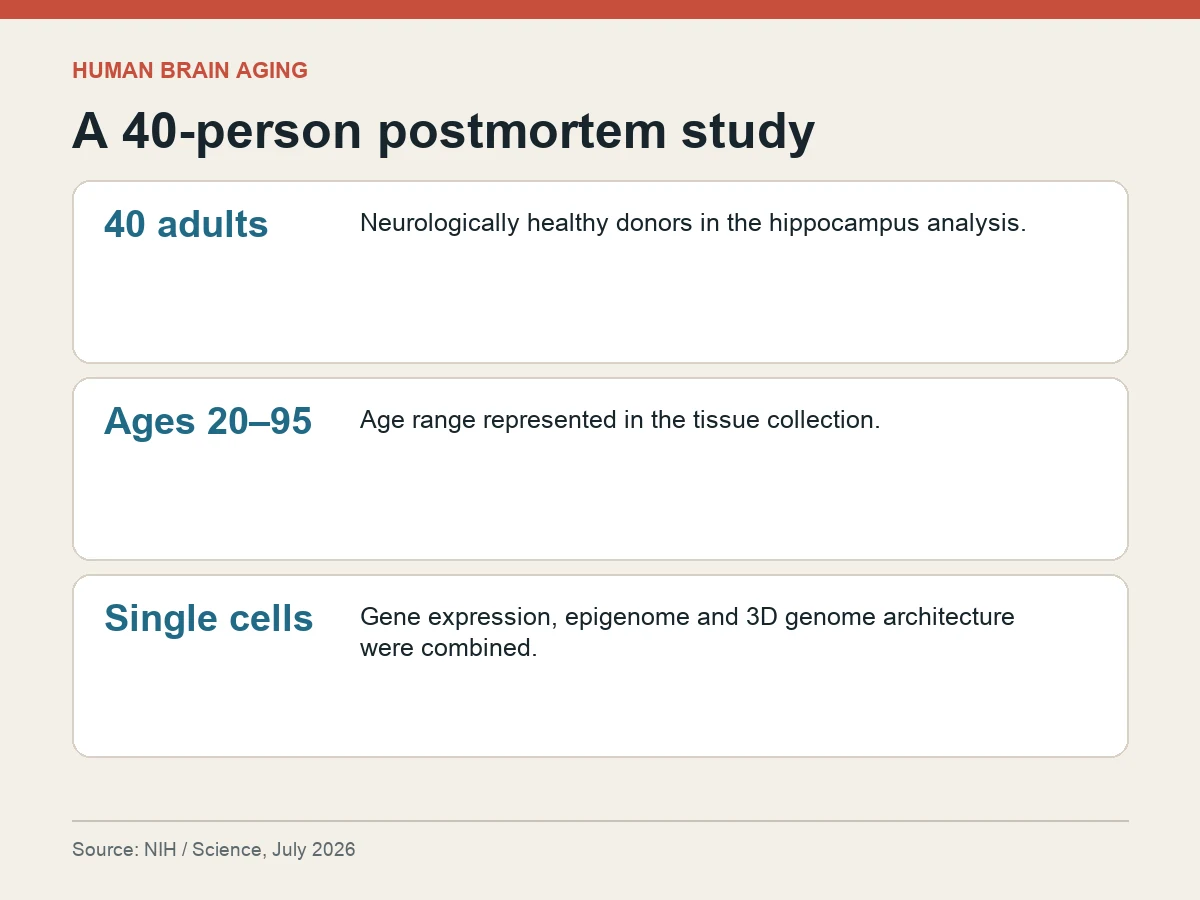 Graphic shows a 40-adult postmortem hippocampus study spanning ages 20 to 95 and using single-cell, epigenomic and 3D genome methods.