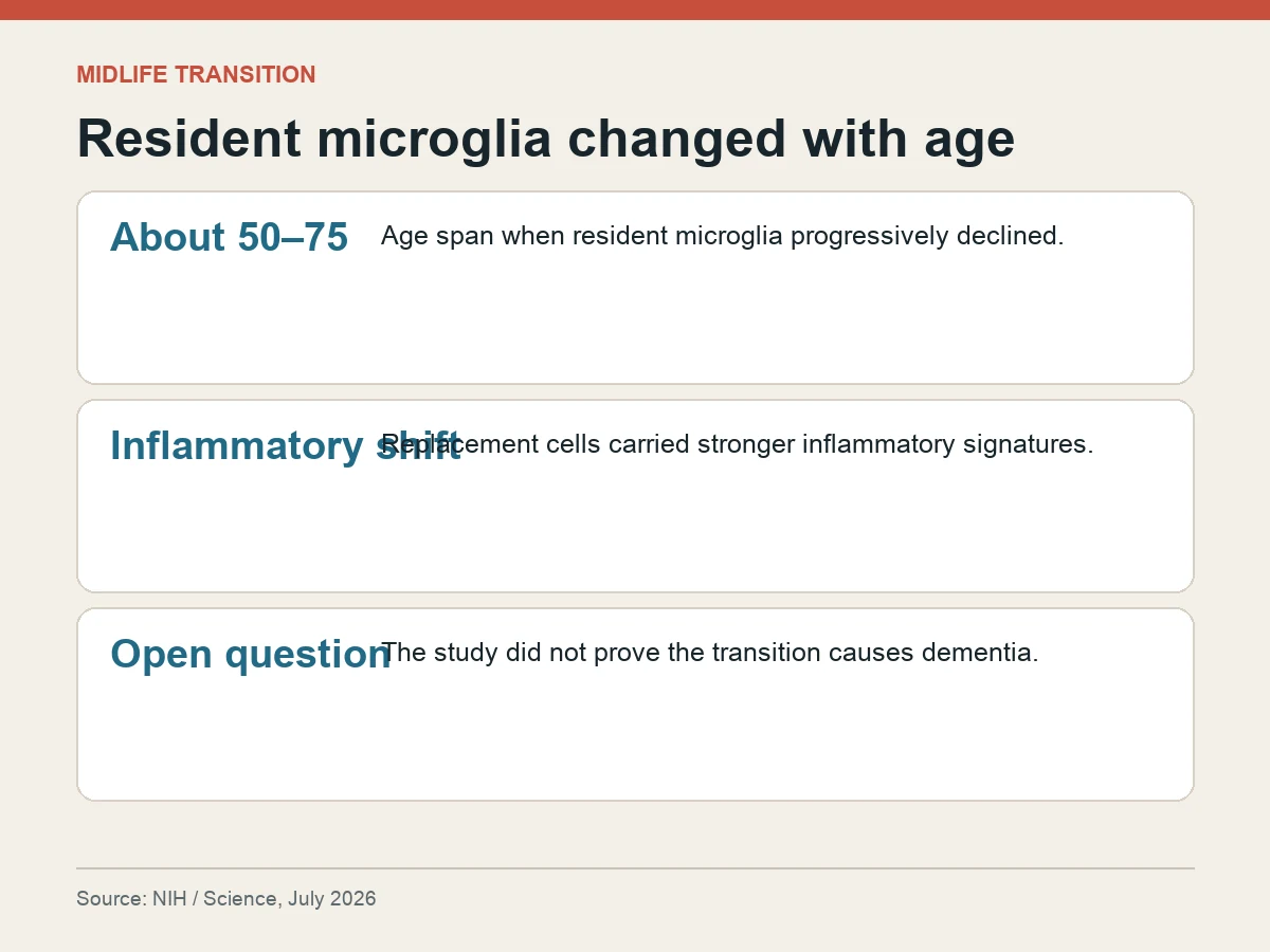 Graphic says resident microglia declined between roughly ages 50 and 75, inflammatory signatures rose and causation for dementia remains unproved.