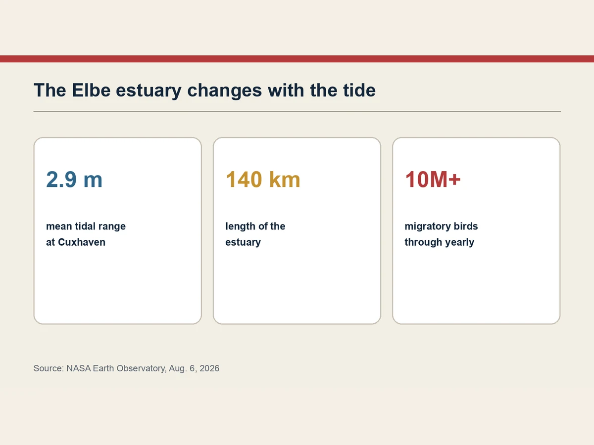 Graphic summarizes the tidal range, estuary length and migratory-bird traffic.