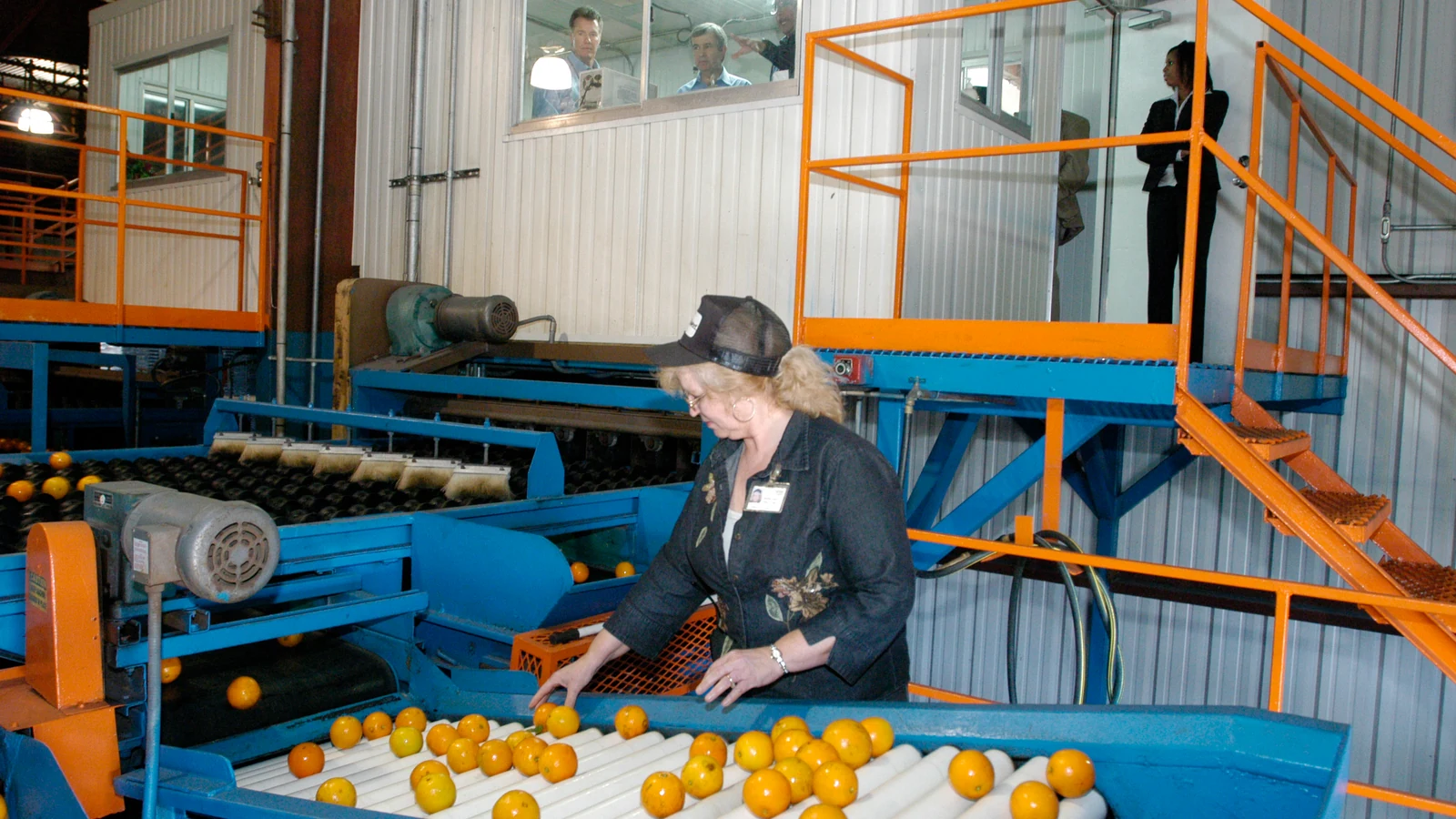 Oranges move along rollers inside a citrus processing plant while a worker inspects the line.