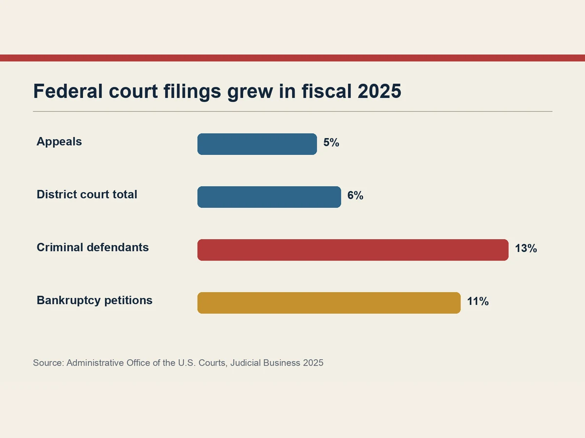 Bar graphic shows percentage growth in appeals, district-court filings, criminal-defendant filings and bankruptcy petitions.