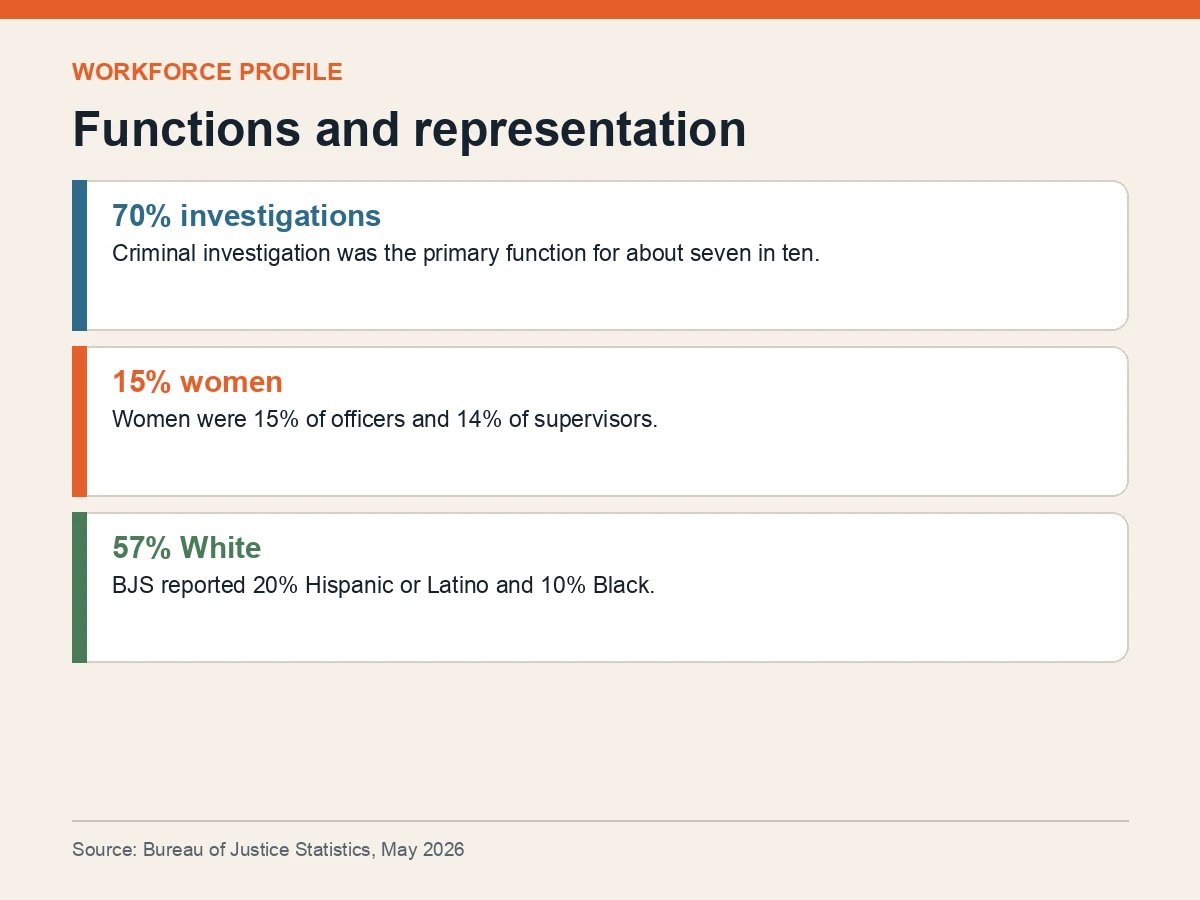 Graphic shows 70% primarily in investigations, 15% women, 57% White, 20% Hispanic or Latino and 10% Black.