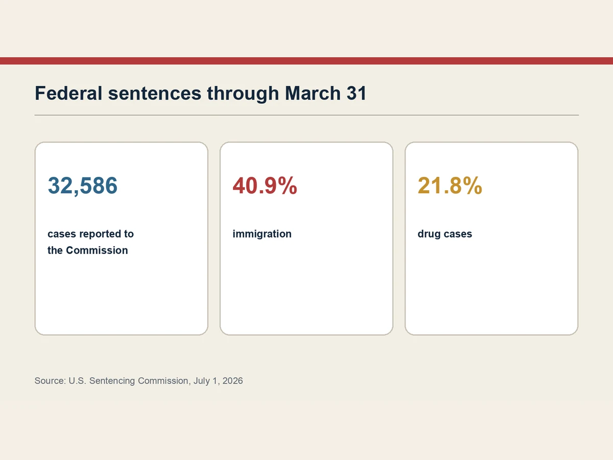 Graphic shows total cases and the leading immigration and drug shares.