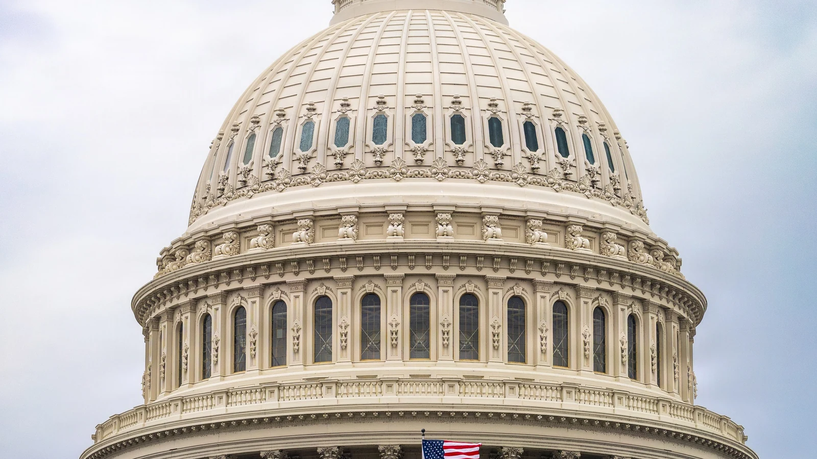 A close view of the U.S. Capitol dome rises above a row of red flowers.