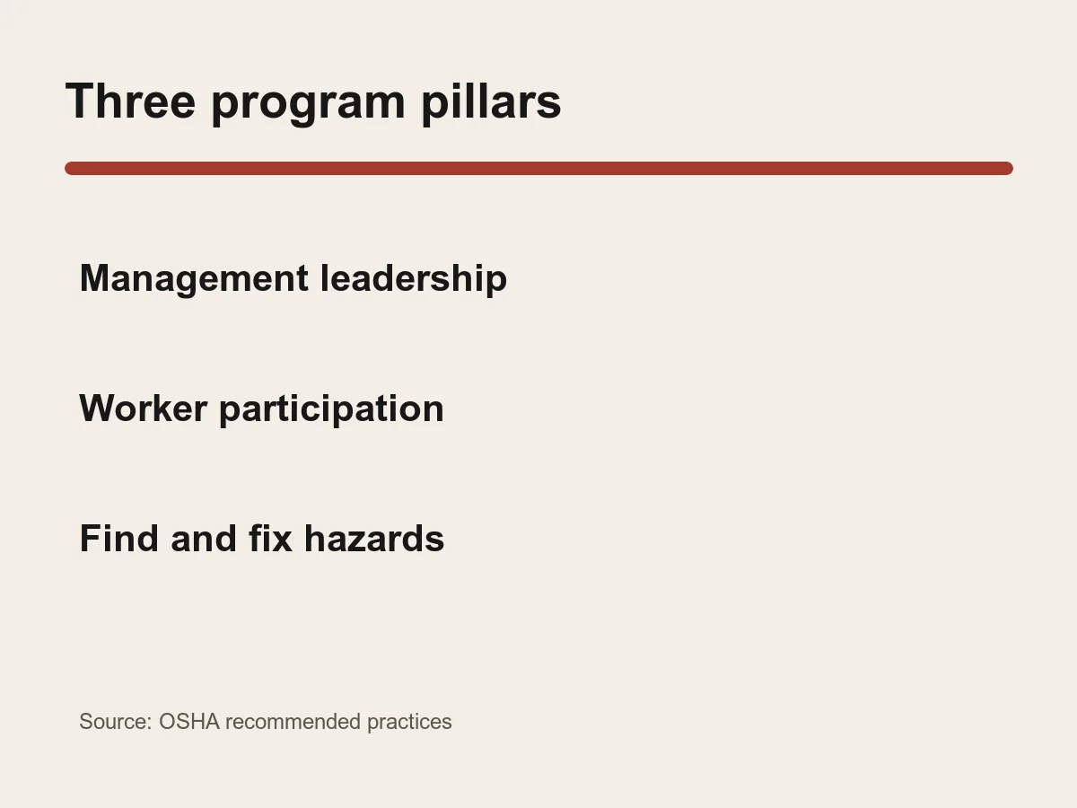Graphic lists management leadership, worker participation and finding and fixing hazards.
