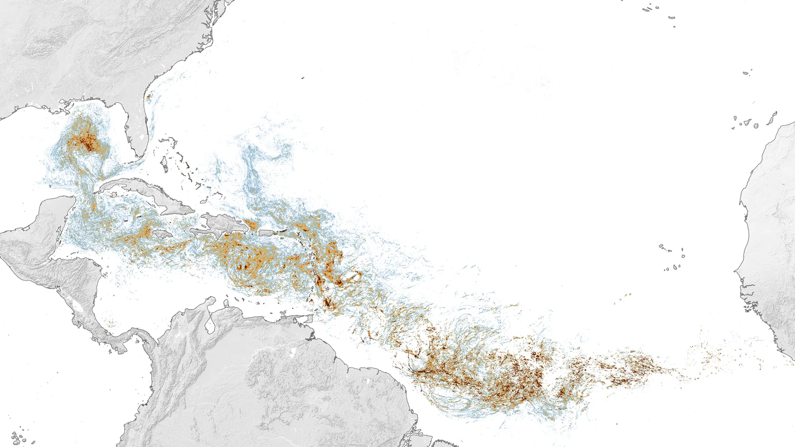 Satellite-derived map shows orange and red Sargassum concentrations across the tropical Atlantic, Caribbean and Gulf.