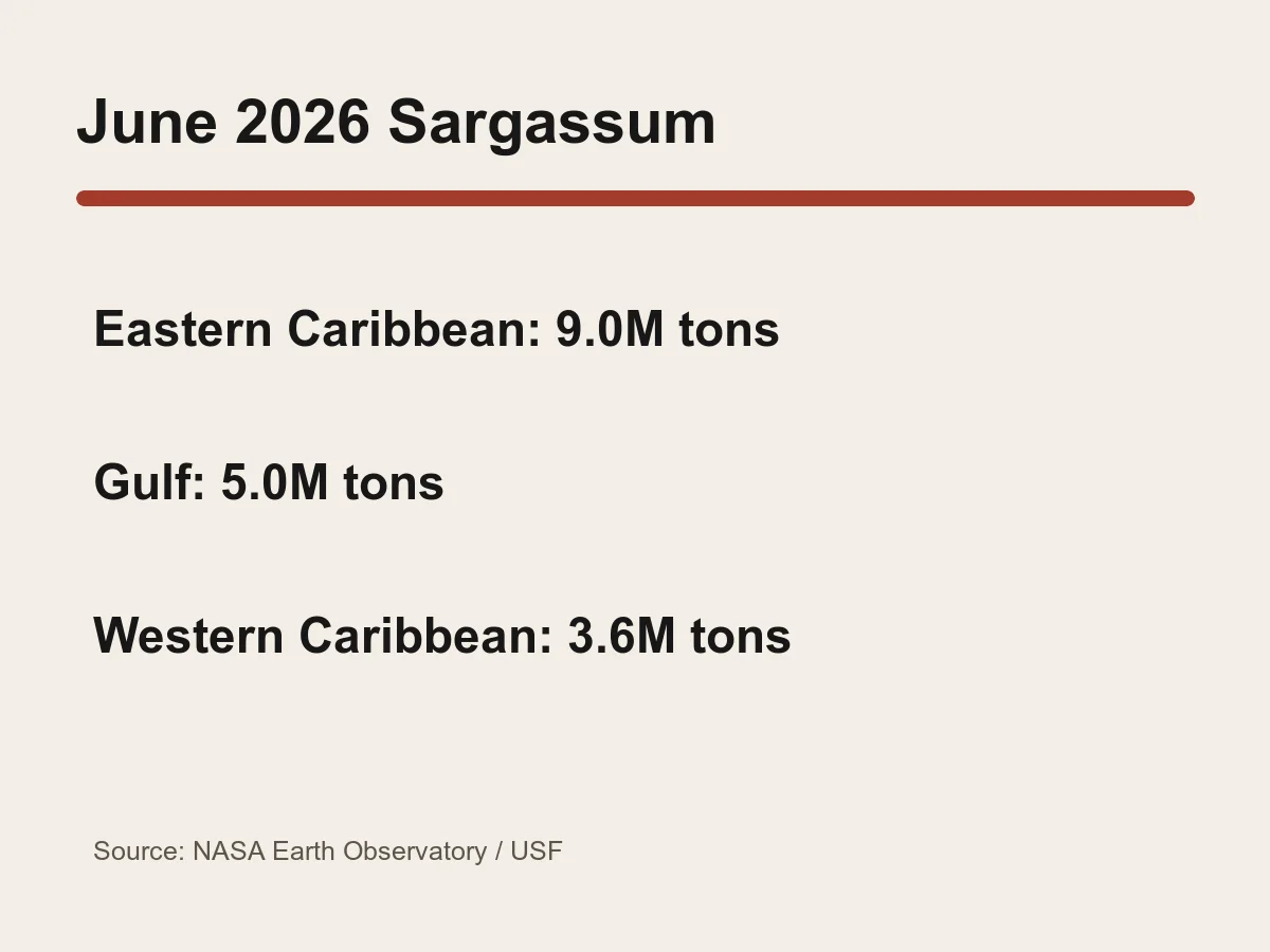 Graphic shows 9 million metric tons in the eastern Caribbean, 5 million in the Gulf and 3.6 million in the western Caribbean.