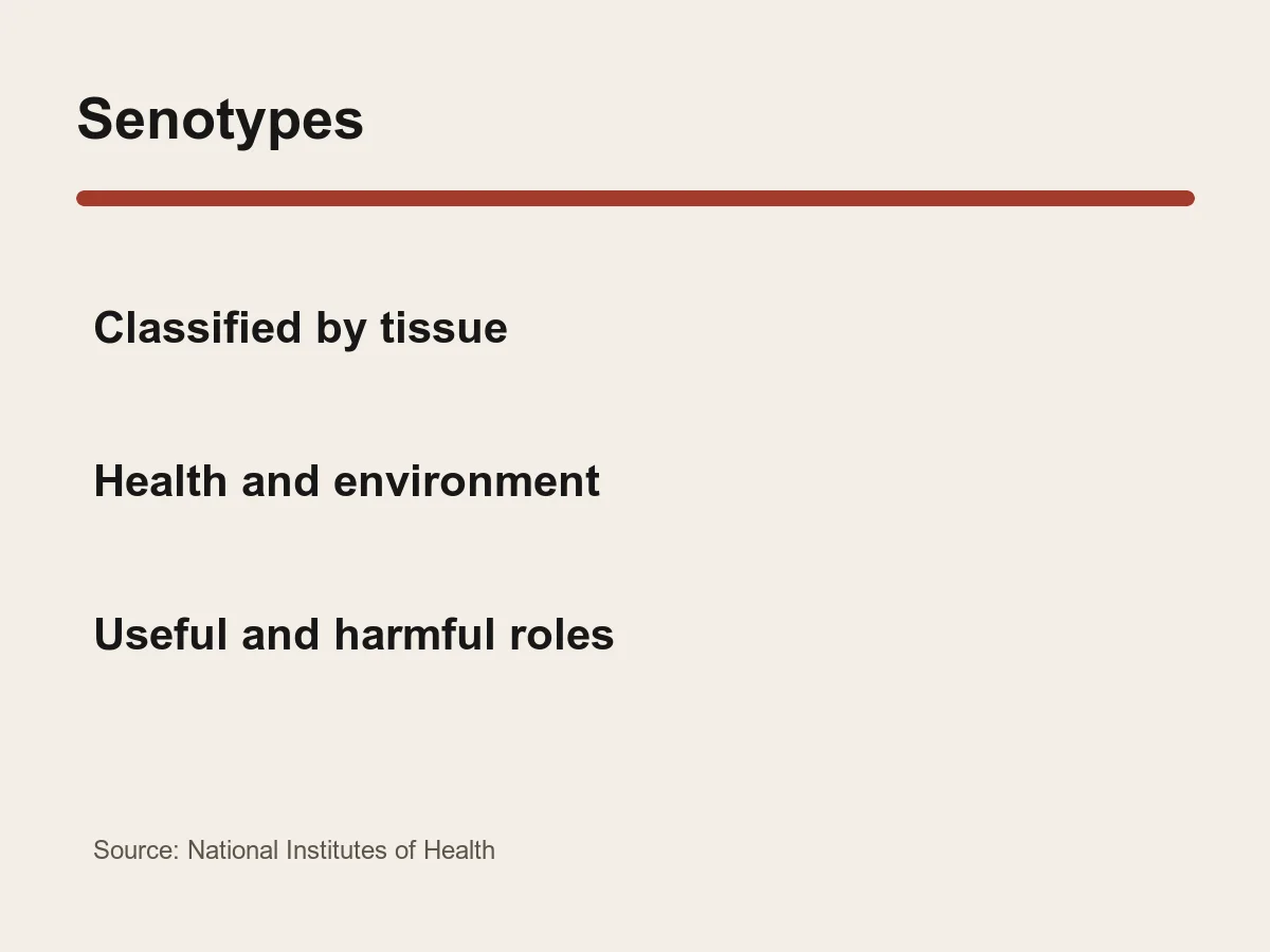 Graphic shows senescent cells classified by tissue, health status and local environment.