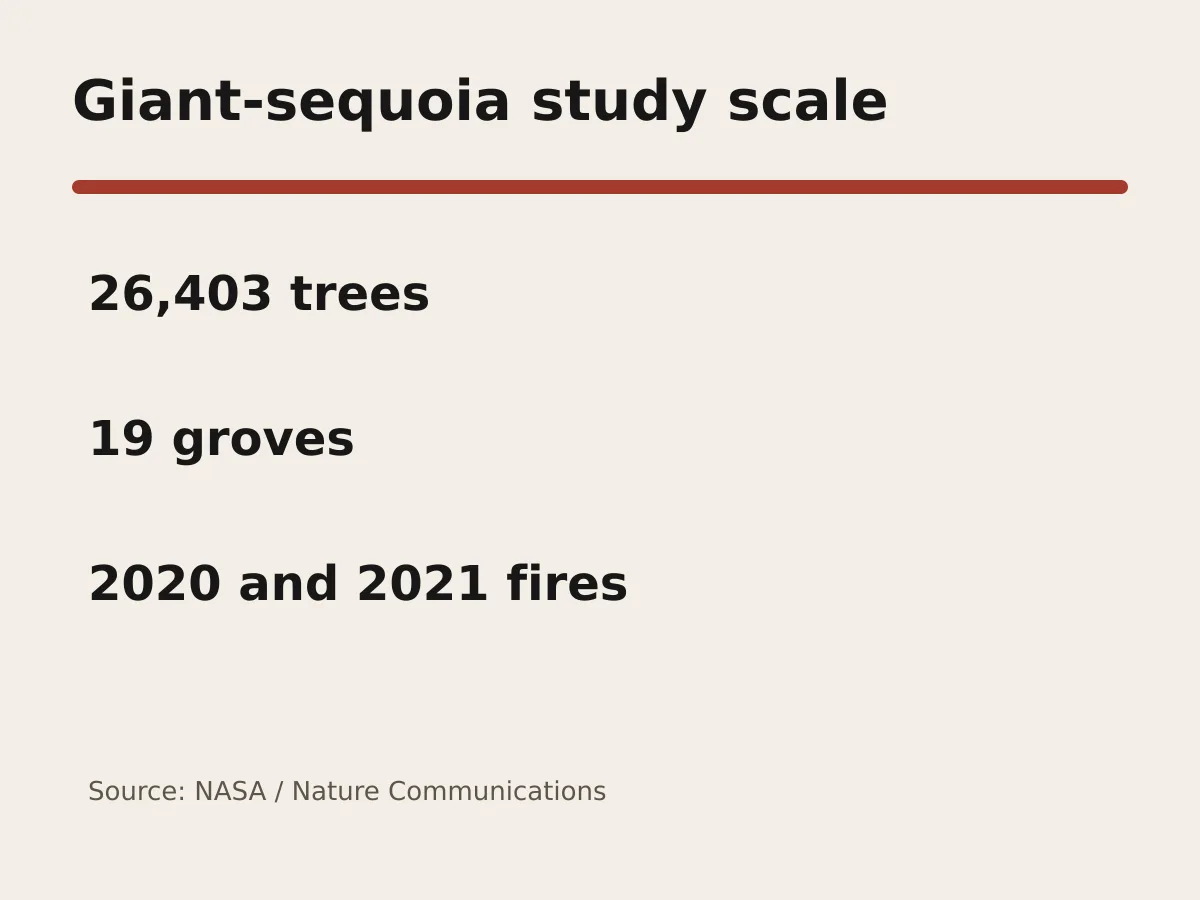 Graphic shows 26,403 giant sequoias, 19 groves and two severe fire seasons.