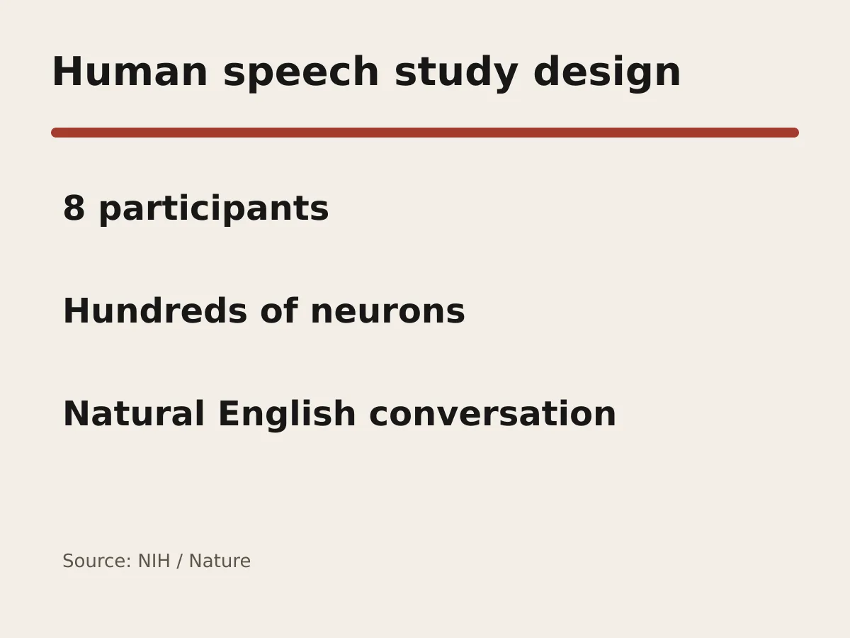 Graphic shows eight participants, hundreds of neurons and natural English conversation.