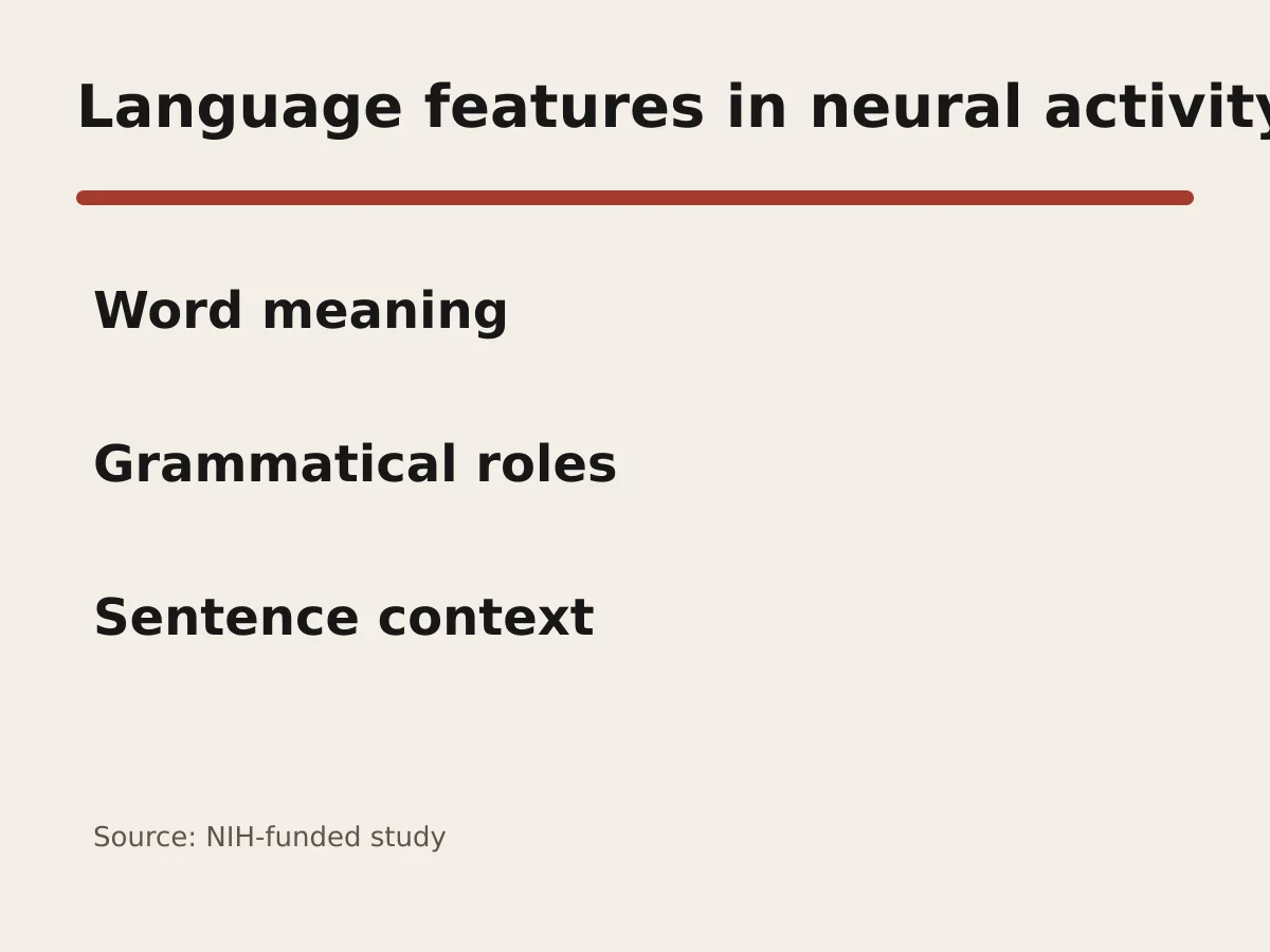 Graphic lists meaning, grammatical roles and sentence context detected before speech.