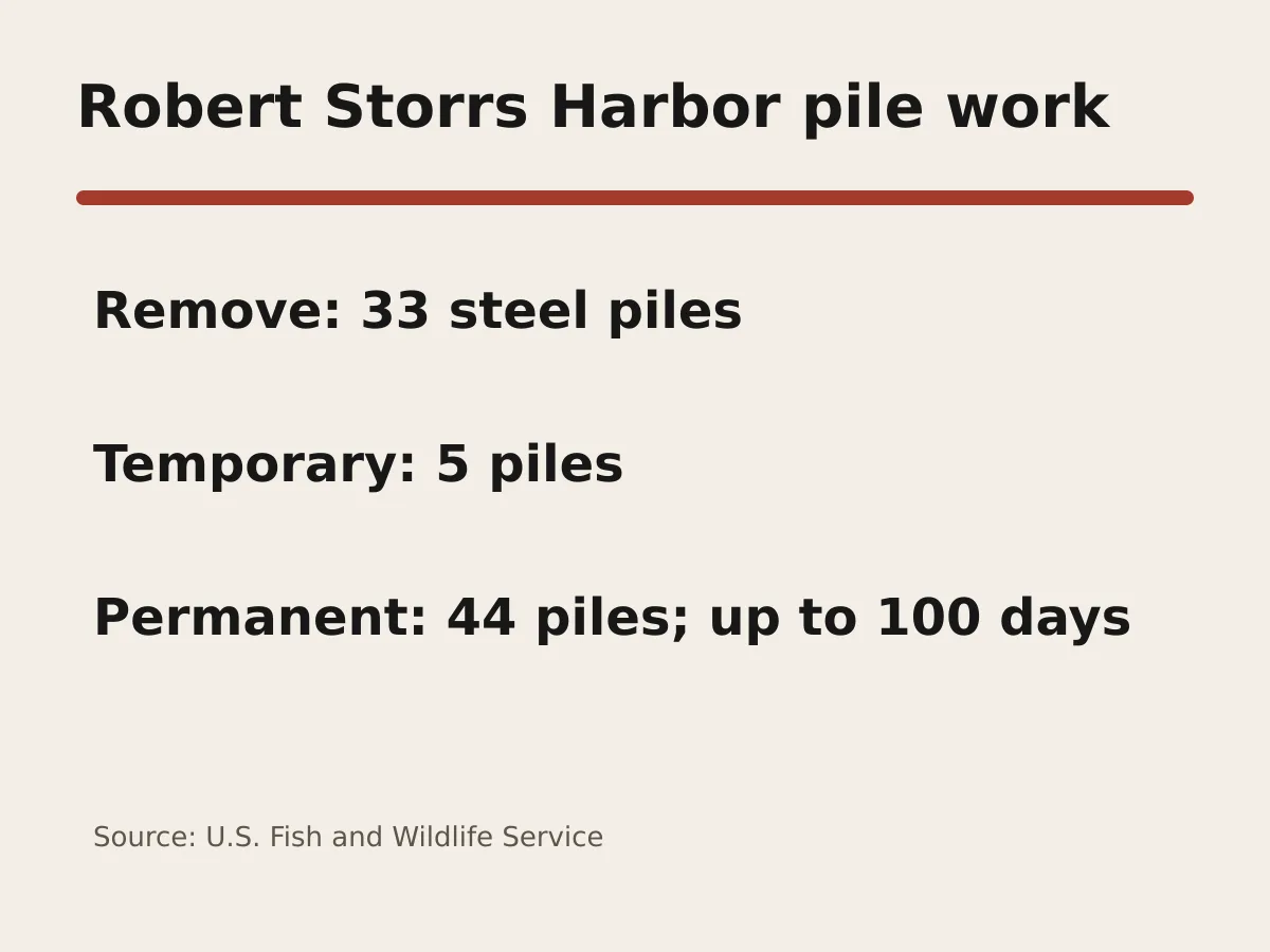 Graphic lists 33 piles to be removed, five temporary piles and 44 permanent piles.