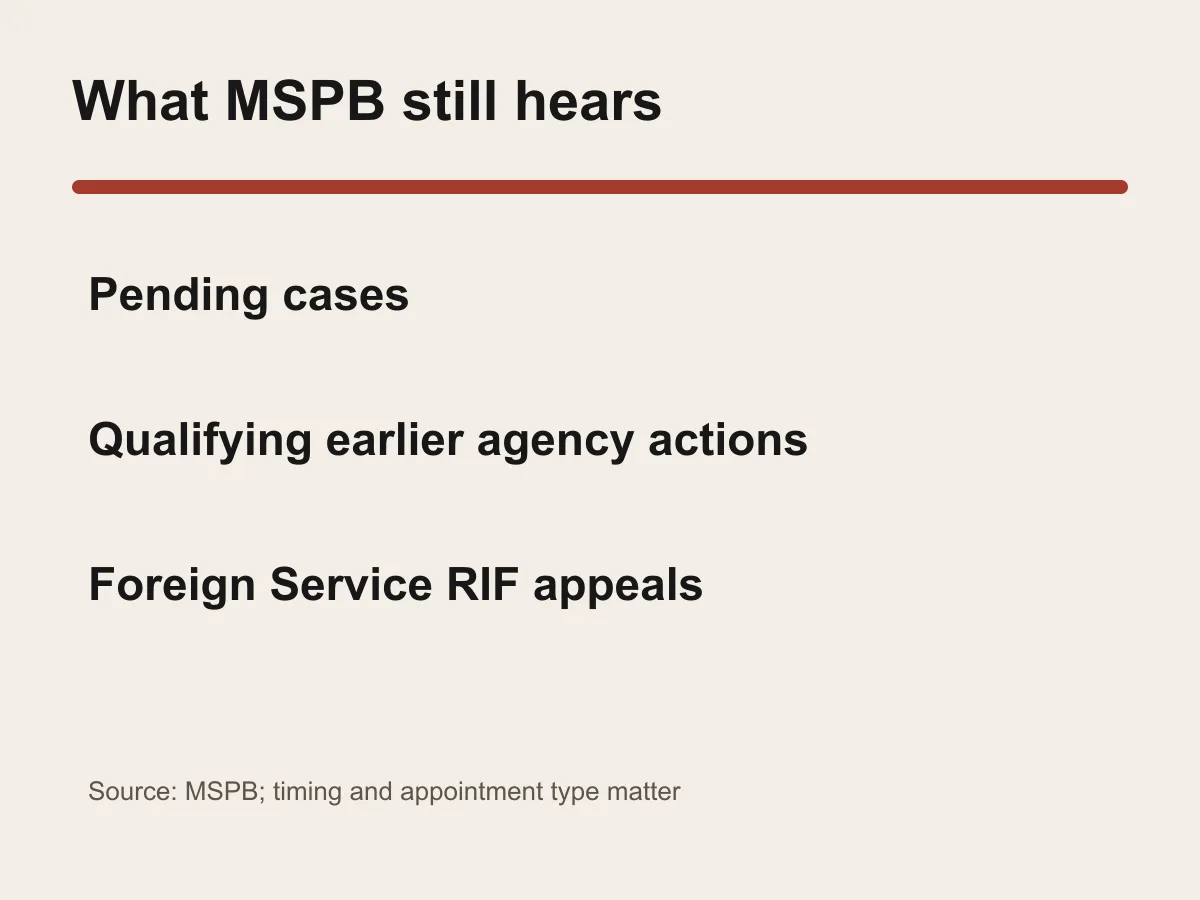 Graphic lists pending cases, earlier agency actions and Foreign Service RIF appeals as retained MSPB matters.