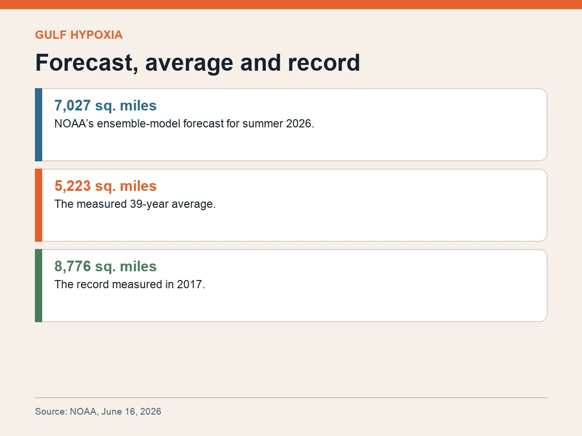 Graphic compares NOAA’s 7,027-square-mile forecast with the 5,223-square-mile average and 8,776-square-mile record.