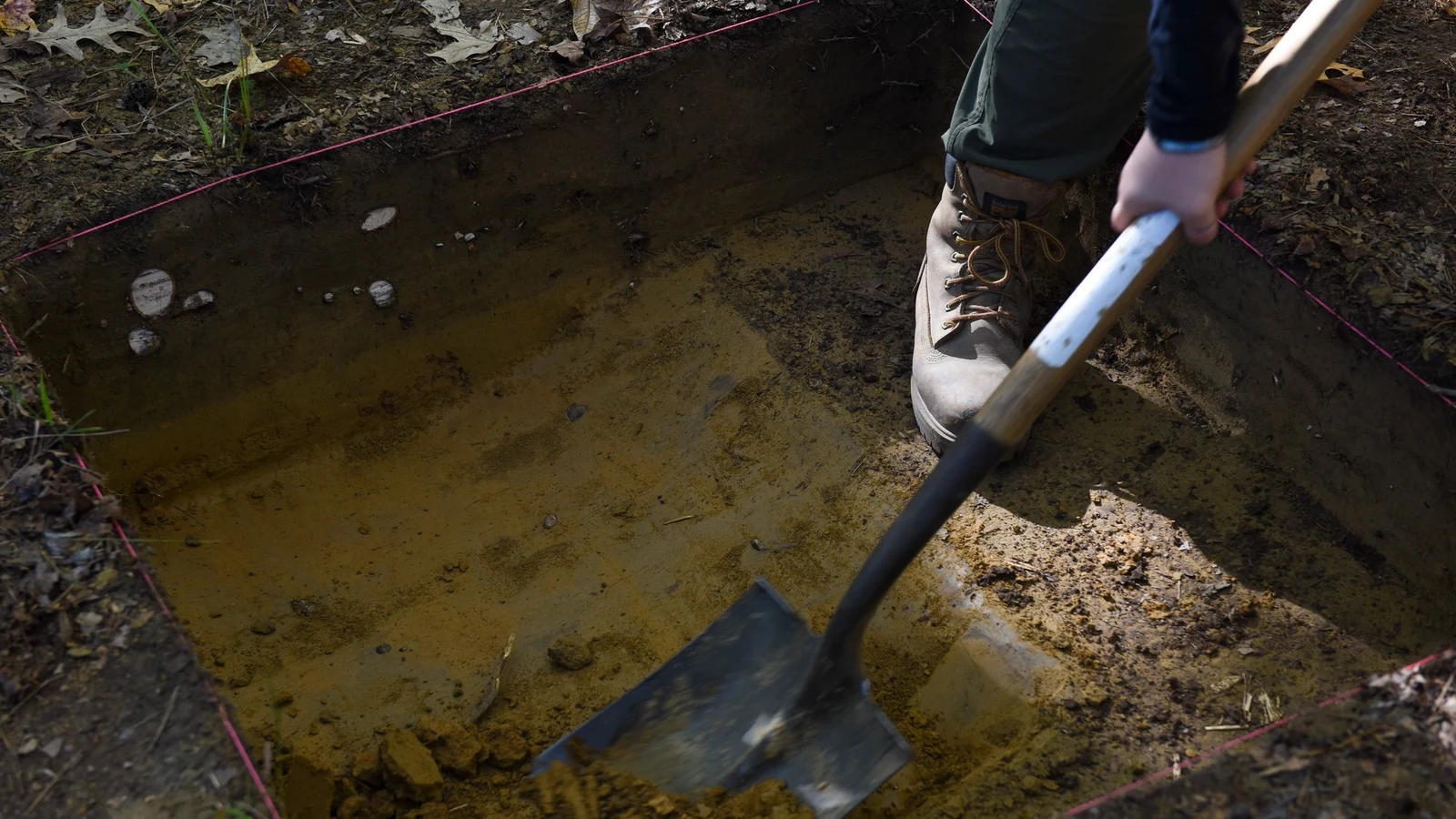 An archaeologist uses a shovel inside a carefully marked excavation trench.