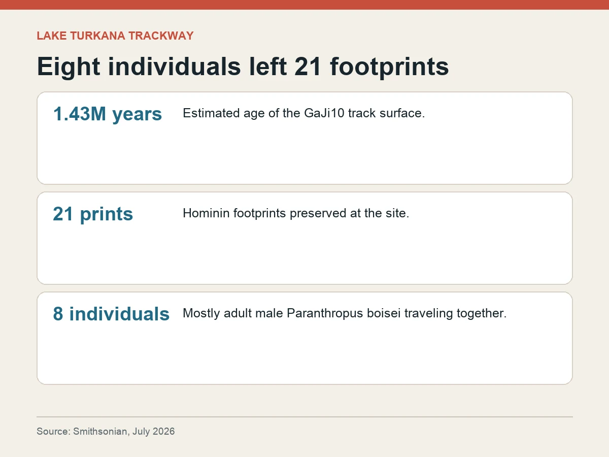 Graphic shows the GaJi10 site preserved 21 footprints from eight individuals about 1.43 million years ago.