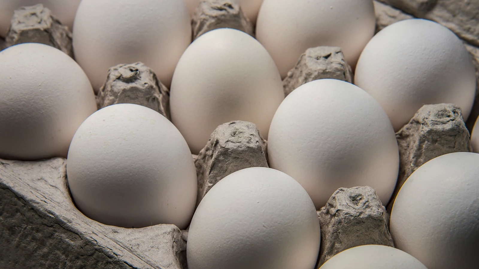 Clean white shell eggs sit upright in gray pulp flats, filling the frame in sharp focus.