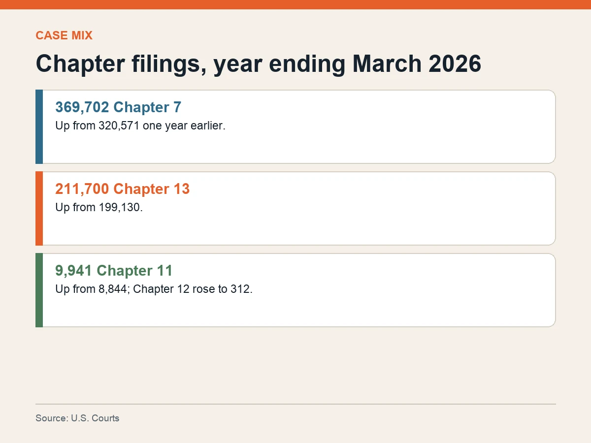 Graphic lists Chapter 7 filings at 369,702, Chapter 13 at 211,700, Chapter 11 at 9,941 and Chapter 12 at 312.